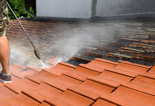 Best Pressure Washing Services for Businesses  in Riverside, PA